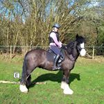 Profile Picture of Amber Clifford-Brown (@rideconfidence) on Instagram