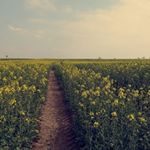 Profile Picture of Fiona Schulze (@_fiona.sze_) on Instagram