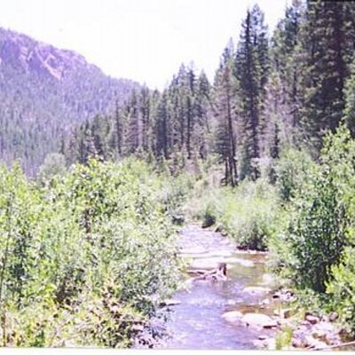 Carlo Aranda - Twitter Profile Picture of Carlo Aranda (@carlo_aranda) on Twitter