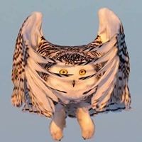 Profile Picture of Melissa Carson-beisel (@melissa-carson-beisel) on Quora