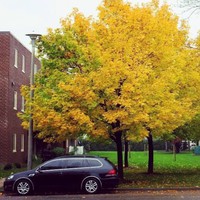 Profile Picture of Alex Holbert (@alex-holbert-5) on Quora