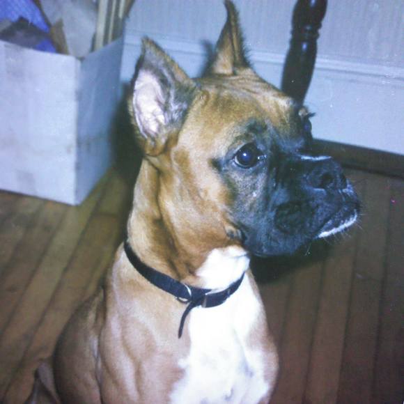 Profile Picture of Matthew Dutson (@mattdutson) on Poshmark