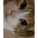 Profile Picture of Kim Beeson (@Kim-Beeson) on Facebook
