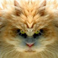 Profile Picture of David Inskeep (@david-inskeep-2) on Quora
