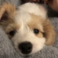 Profile Picture of Alexa Canas (@alexa-canas-3) on Quora