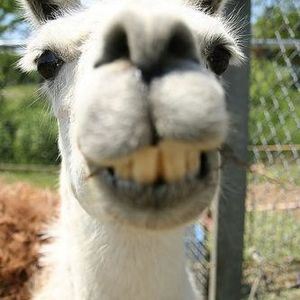Profile Picture of Michael Steinbacher (@youdowhateva95) on Myspace