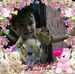 Profile Picture of Ngọc Huyền Nguyễn (@nguyen.ngochuyen.9674227) on Facebook