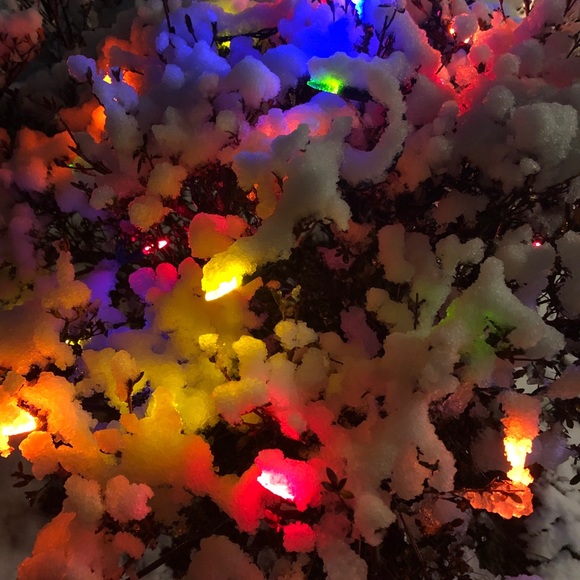 Profile Picture of Ehsan Baghaei (@ehsanbaghaei) on Poshmark