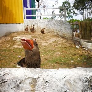Profile Picture of Thanaphat Seeboonruang (@TSeeboonruang) on Twitter