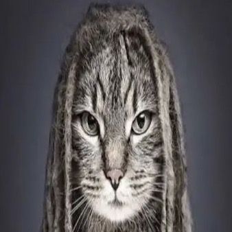 Profile Picture of 🕊️ (@crriminality) on Tiktok