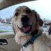 Profile Picture of David Beckemeier (@david.beckemeier.5) on Facebook