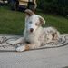Profile Picture of Jamey Danielson (@jameydanielson) on Pinterest