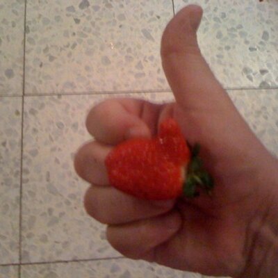 Profile Picture of Michael Feigin (@MichaelFeigin) on Twitter