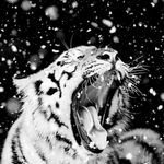 Profile Picture of Jasmine (@jessecheatham05) on Instagram