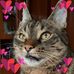 Profile Picture of Robert Strobl (@robert.strobl.31) on Facebook