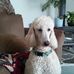 Profile Picture of Shelly Fackrell (@shelly.fackrell.31) on Facebook