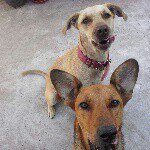 Profile Picture of Flora Faulkner (@florafaulkner) on Instagram