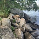 Profile Picture of Jack Zukowski (@betterbakingbybeth) on Instagram