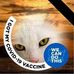 Profile Picture of Darry Ferguson (@Darry.ferguson.1) on Facebook
