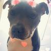 Profile Picture of Jenny Swift (@@jennyswift2) on Tiktok