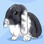 Profile Picture of Speddy, Beni a Jasmínka (@speedbeja) on Instagram