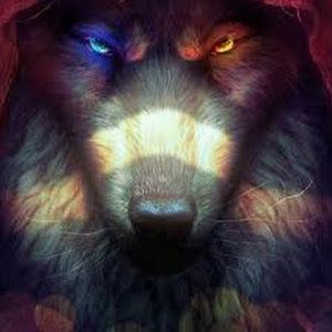 Profile Picture of Jeffrey Melgar497 (@jeffreymelgar) on Tiktok