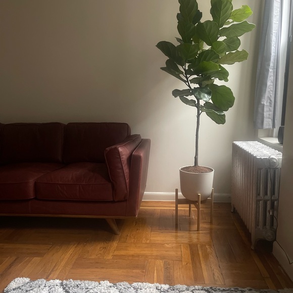 Profile Picture of Kevin Kondor (@kevinkondor9) on Poshmark