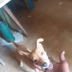 Profile Picture of David Stone (@David-Stone) on Facebook