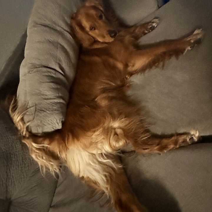 Profile Picture of Isidra Rivera537 (@cdrarivera) on Tiktok