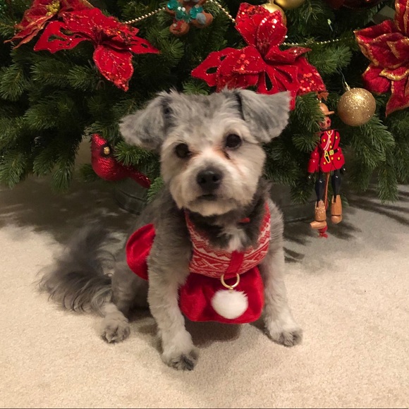 Profile Picture of Liudmila Willsey (@milawf) on Poshmark