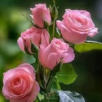 Profile Picture of Cleme Mateo (@Cleme-Mateo) on Facebook