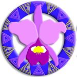 Profile Picture of Gustavo A Aguirre (@orquideaskatia) on Instagram