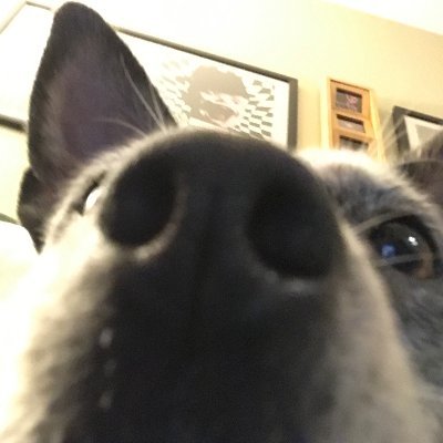 BMac 😷😷WEAR A MASK - Twitter Profile Picture of BMac 😷😷WEAR A MASK (@BMACRESISTOR) on Twitter