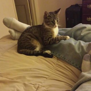 Profile Picture of Audrey Dexter (@audrey.dexter.90) on Facebook