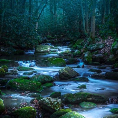 Profile Picture of RZ (@1RalphZayas) on Twitter