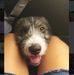 Profile Picture of Allison Canteral (@allison.canteral.754) on Facebook