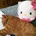 Profile Picture of David Etherton (@davide30) on Pinterest