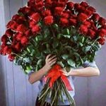 Profile Picture of leila (@daoud_leila) on Instagram