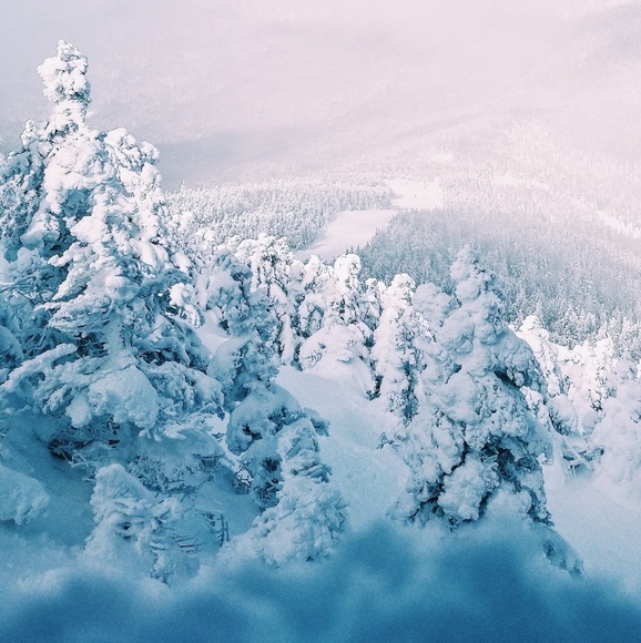 Profile Picture of Una Bleckmann (@unableckmann_) on Poshmark