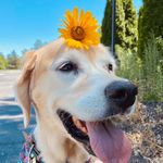 Profile Picture of katelyn meyerpeter (@katelyn_meyerpeter) on Instagram