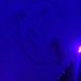 Profile Picture of Ibrahamjobe (@ibrahamjobe) on Pinterest