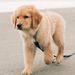 Profile Picture of Joseph Juras (@jjjuras) on Pinterest