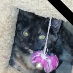 Profile Picture of John Pellet (@John-Pellet) on Facebook