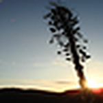 Profile Picture of Caleb_nymeyer (@caleb_nymeyer) on Flickr