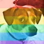 Profile Picture of Ernest Lehman (@ernest.lehman) on Instagram