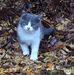 Profile Picture of Nicole Desrosiers (@nicole.desrosiers.587) on Facebook