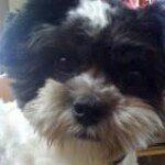 Profile Picture of Patty Bigelow McFarland (@pattymacfarland) on Instagram