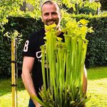 Profile Picture of Richard Groves (@richardgrows) on Instagram