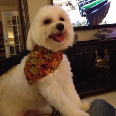 Profile Picture of Brian Rumley (@@BrianRumley) on Twitter