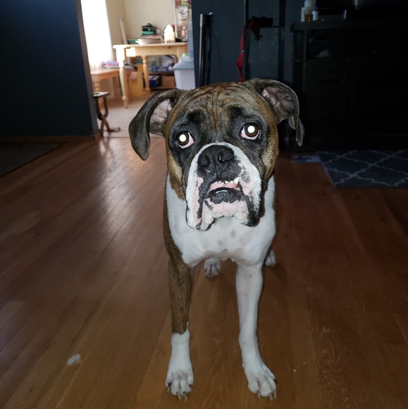 Profile Picture of Alicia townsend Kricket willits (@krick40) on Poshmark